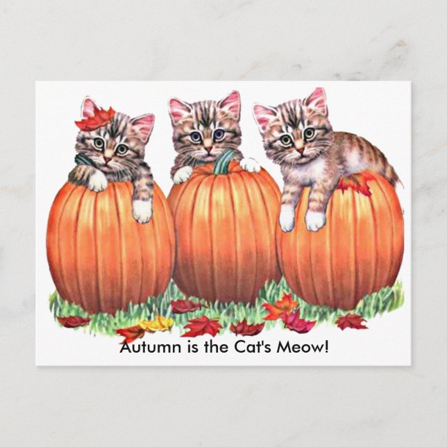 Der Herbst ist die Meow-Postkarte der Katze Postkarte (Vorderseite)