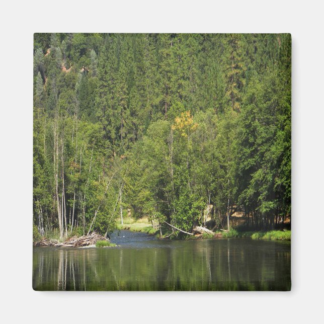 Der Herbst kommt .... Magnet (Vorne)