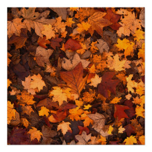 der Herbst Poster