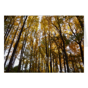 Der Herbst verlässt die Natur am Morgen