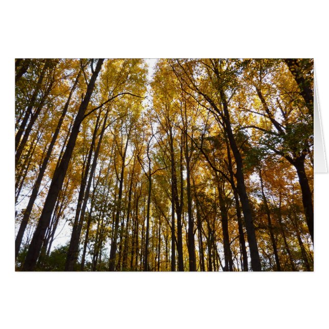 Der Herbst verlässt die Natur am Morgen (Vorderseite (Horizontal))