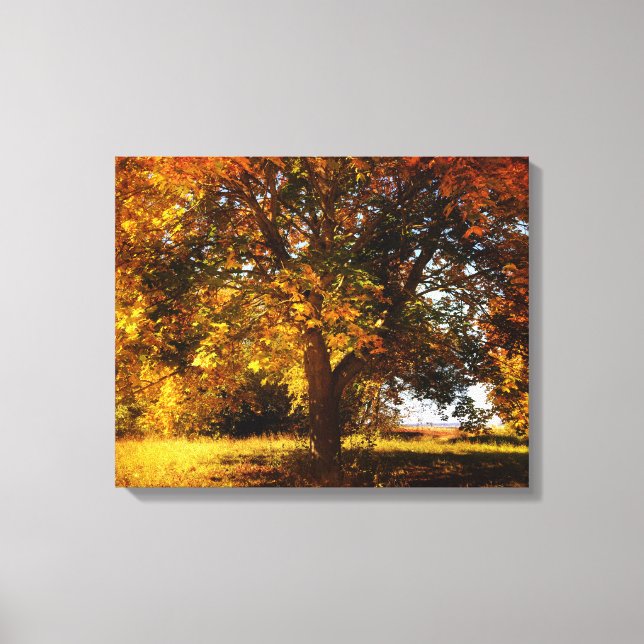 Der Herbstbaum Leinwanddruck (Vorderseite)