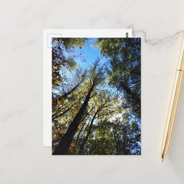 Der Herbstwald Postkarte (Vorderseite/Rückseite Beispiel)