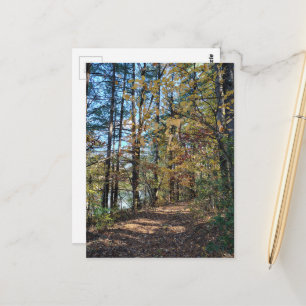 Der Herbstwaldweg Postkarte
