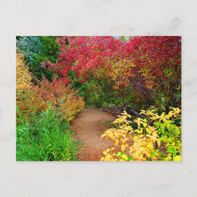 Der Herbstweg Postkarte (Vorderseite)