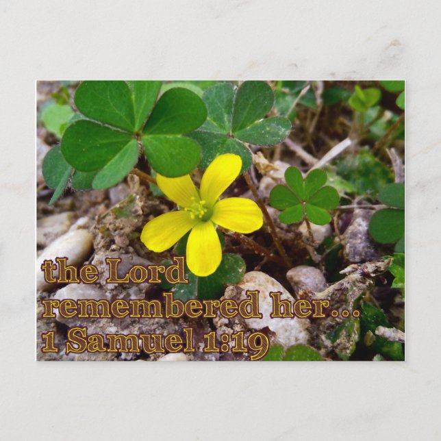 Der Herr erinnerte sich an sie Bibelvers Postkarte (Vorderseite)