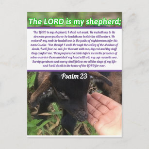 Der Herr ist mein Hirte Psalm 23 Bibelverse Postkarte