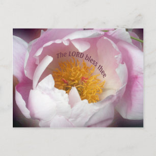 Der Herr segne dich Postkarte