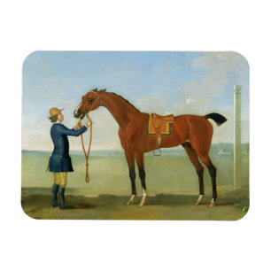 Der Herzog von Devonshires Fliegen Childers, 1742 Magnet
