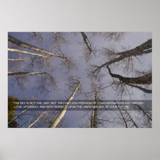 Der Himmel ist nicht das Limit... Poster