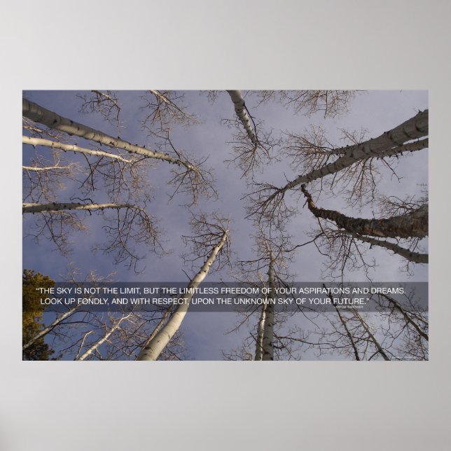 Der Himmel ist nicht das Limit... Poster (Vorne)