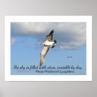 Der Himmel ist voll mit Sternen - Zitat von Langle