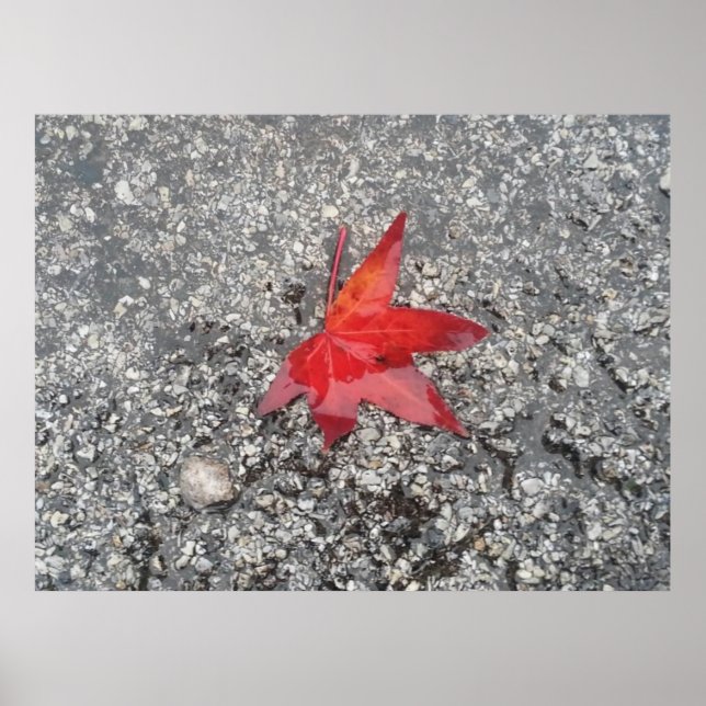 Der Hintergrund der roten Blätter im Büro wird ver Poster (Vorne)