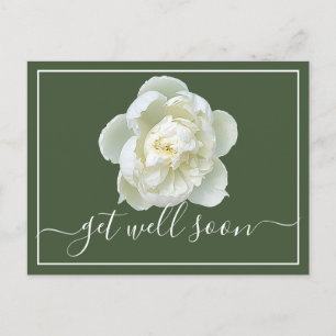 Der Hintergrund von White Peony Green wird gut Postkarte