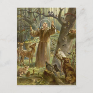 Der Hl. Franz von Assisi predigt den Tieren Postkarte