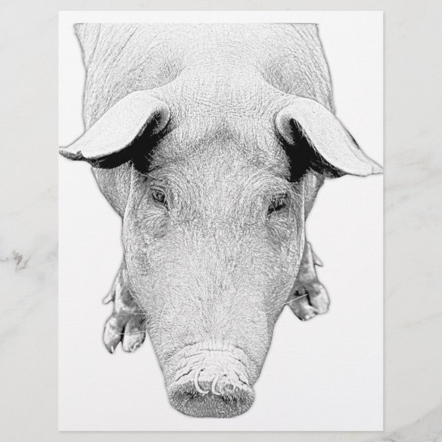 Der Hog in Schwarz und Weiß (Vorderseite)
