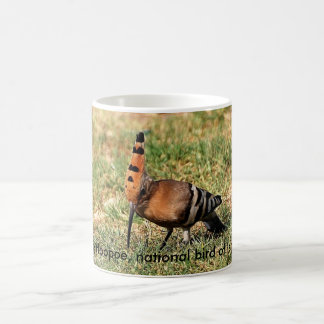 Der Hoopoe, nationaler Vogel von Israel, Kaffeetasse