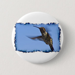 Der Hummingvogelflug Button