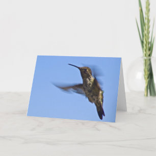 Der Hummingvogelflug Karte