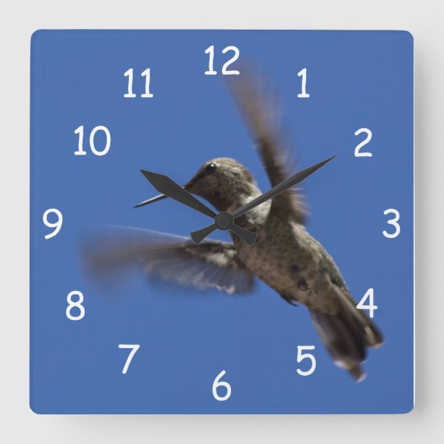 Der Hummingvogelflug Quadratische Wanduhr (Vorderseite)