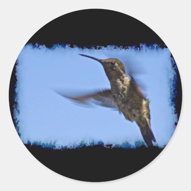 Der Hummingvogelflug Runder Aufkleber (Vorderseite)