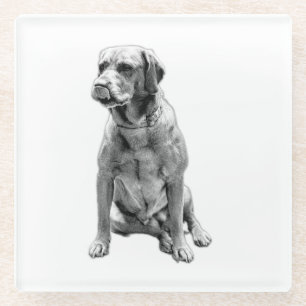 Der Hund, der nie Verlasst Glasuntersetzer
