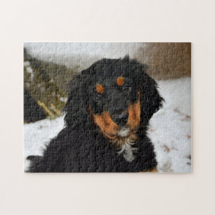 Der Hund Puzzle