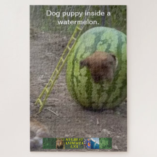 Der Hundewelpen in einem Wassermelone-Rätsel. Puzzle