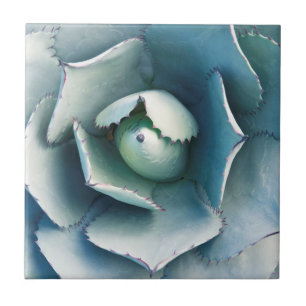 Der Huntington Botanische Garten Fliese