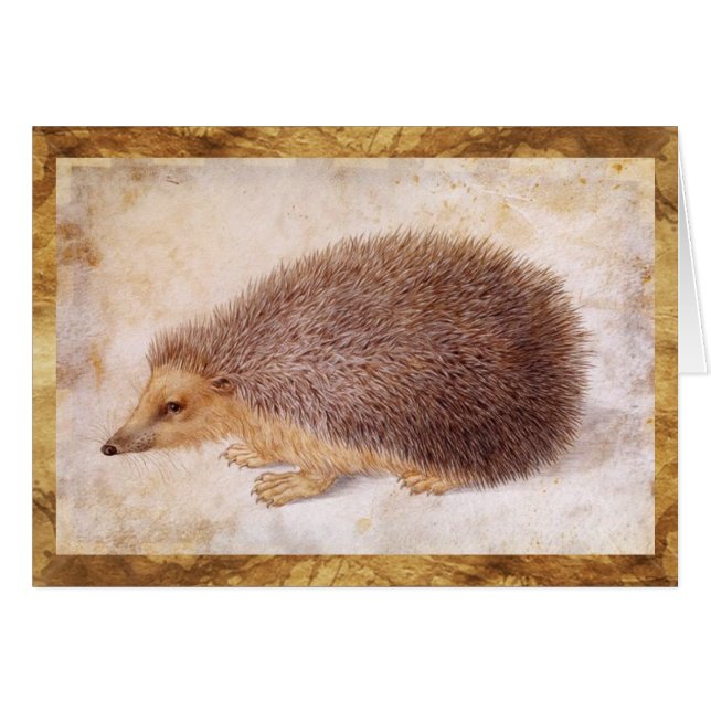 DER IGEL (Vorderseite (Horizontal))