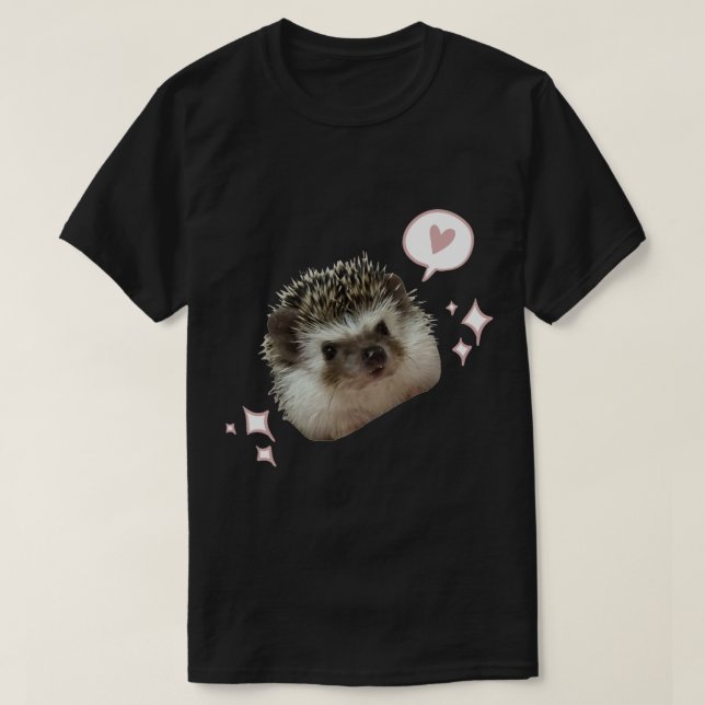 Der Igel von Soobin vom TXT-Aufkleber T-Shirt (Design vorne)