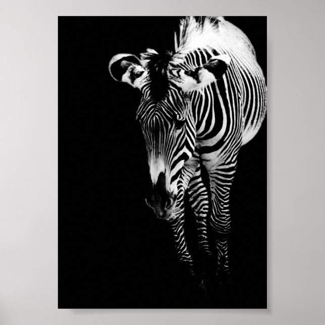 Der Imperial One Print Poster (Vorne)