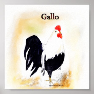 Der italienische Hahn Gallo Poster