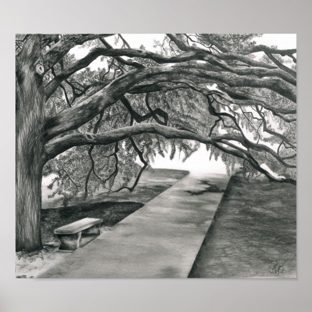 Der jahrhundertealte Baum Poster (Vorne)