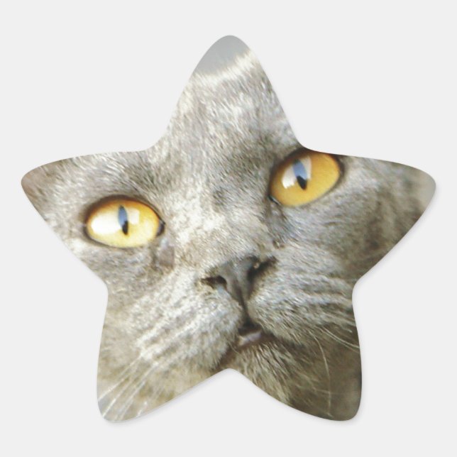 Der Jean-Grau der letzten Hoffnung Stern-Aufkleber (Vorderseite)