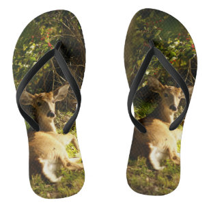 Der junge Buck auf der Wiese Flip Flops