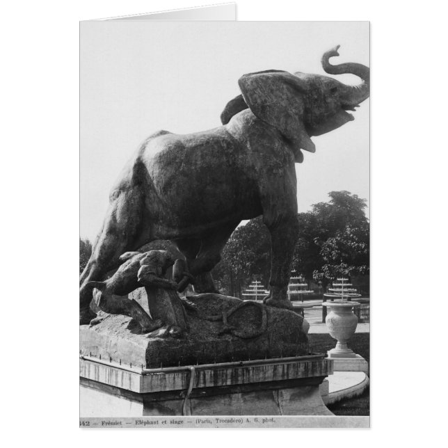 Der junge Elefant fing in einer Falle (Vorne)