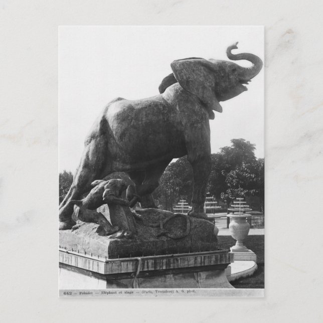 Der junge Elefant fing in einer Falle Postkarte (Vorderseite)