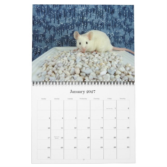 Der Kalender 2012 des Mäuseliebhabers (Jan 2027)