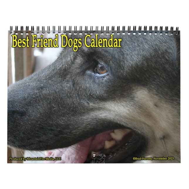 Der Kalender der besten Freunde Hunde! (Titelbild)