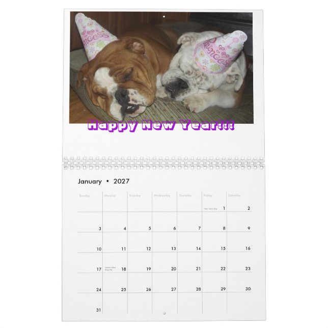 Der Kalender der Tyrann-Schwester-2013 (Jan 2027)