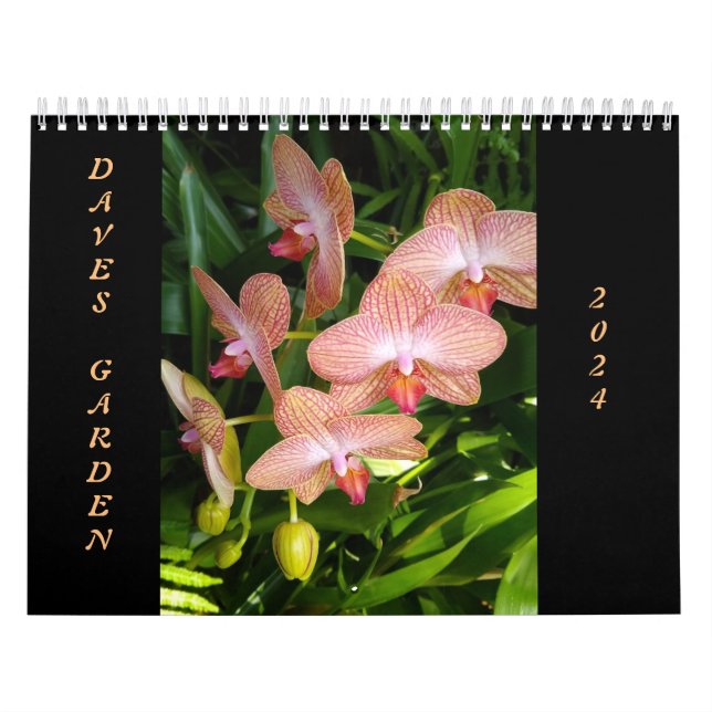 Der Kalender des Dave's Garden Foto Contest 2024 (Titelbild)