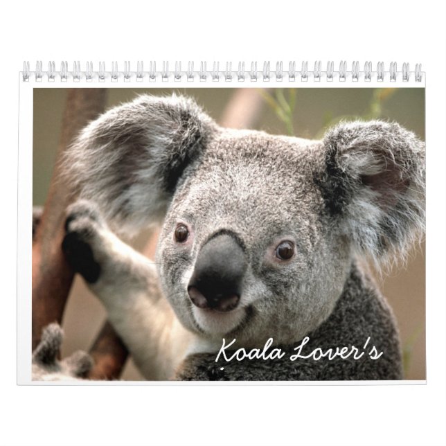 Der Kalender des Koala-Liebhabers (Titelbild)