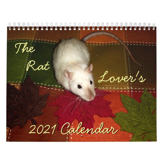 Der Kalender des Ratten-Liebhabers: 2019 (Titelbild)