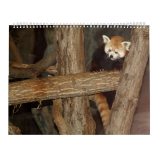 Der Kalender des Tier-Fotos