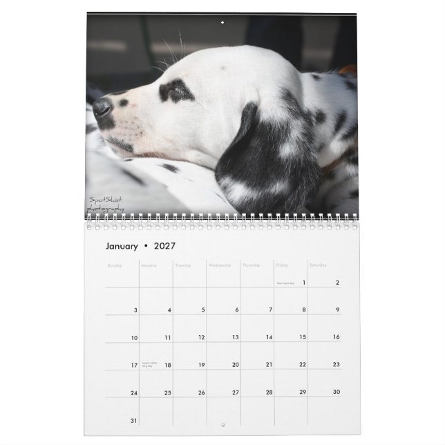 Der Kalender SpotShot Fotografie 2012 (Jan 2027)