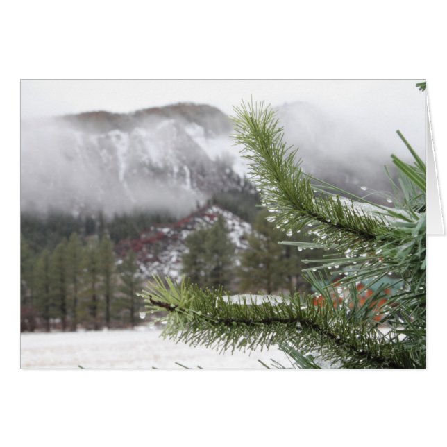 Der kalte Wintermorn (Vorderseite (Horizontal))