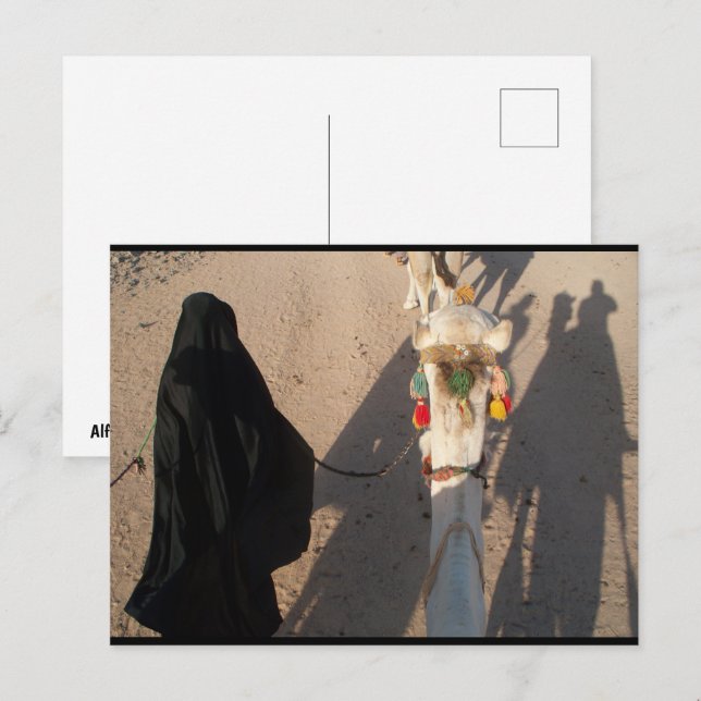 Der Kamelgang Postkarte (Vorne/Hinten)
