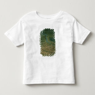 Der Kampf von Senta, an dem das Kaiser Kleinkind T-shirt