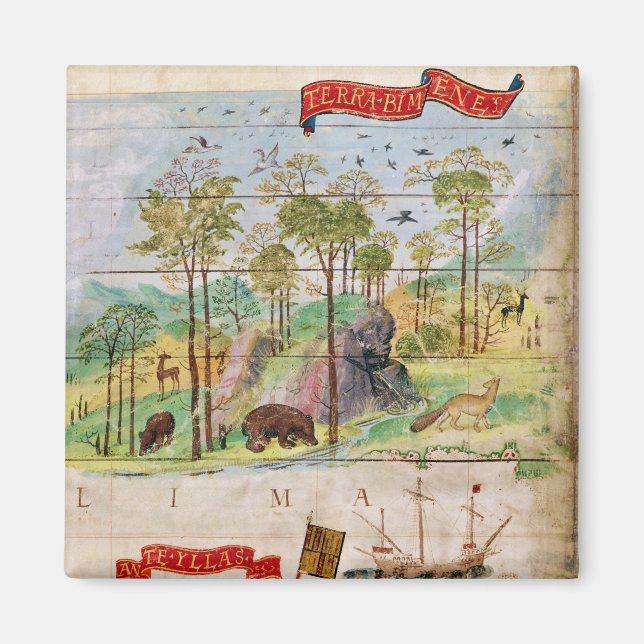 Der kanadische Wald Magnet (Vorne)